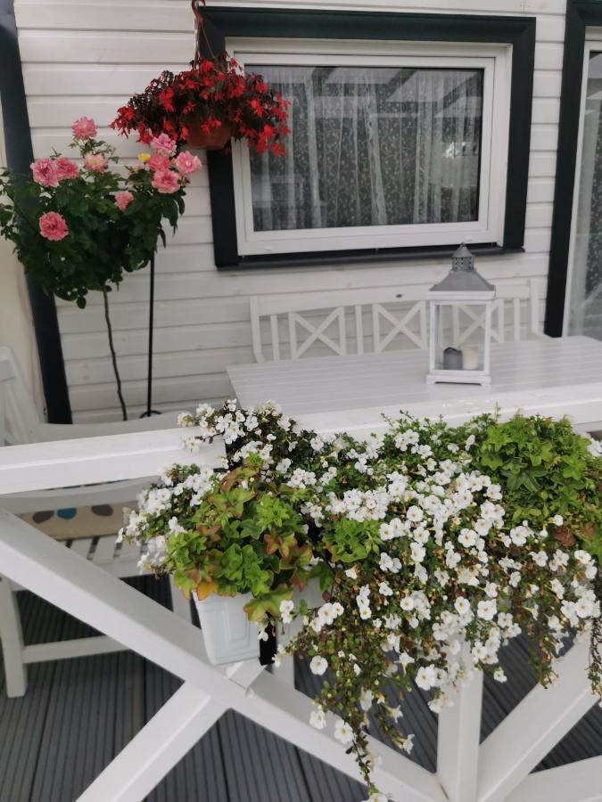 Sapni Villa Kolka Eksteriør billede